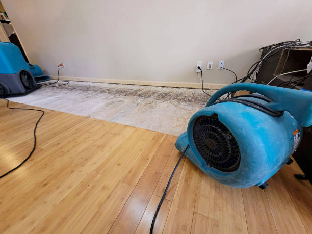 Professional Sewage Cleanup technician working in Cowpens, SC